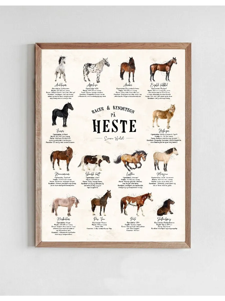En Plakat Med Heste - Sten