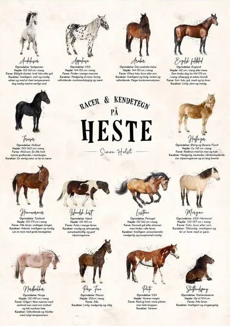 En Plakat Med Heste - Sten