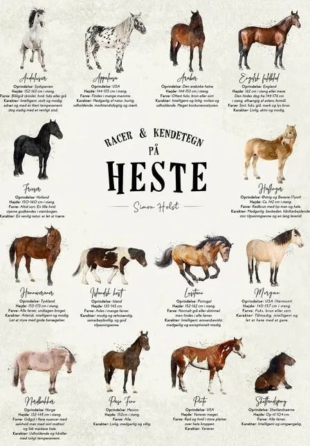 En Plakat Med Heste, original