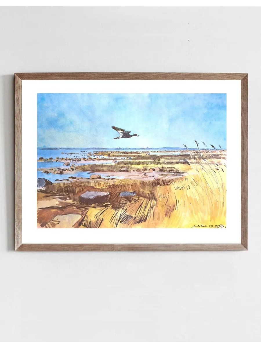 Endless Marshes