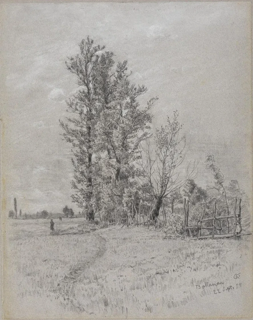 Erlen Und Weiden Bei Bottenau