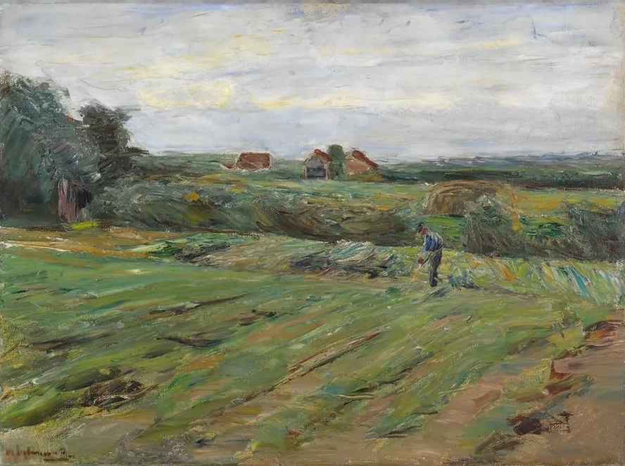 Erntefeld