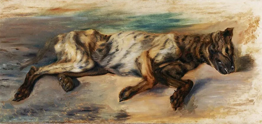 Etude D Apres Un Chien Mort