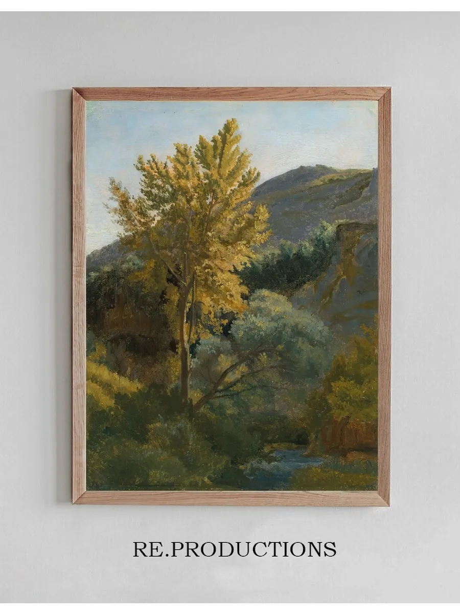 Etude D Arbre Pr's D Un Torrent En Italie