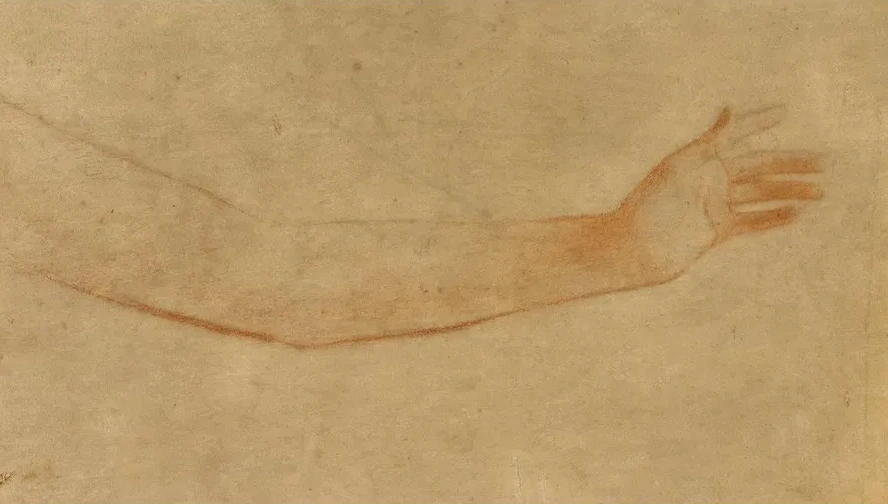Etude de Bras