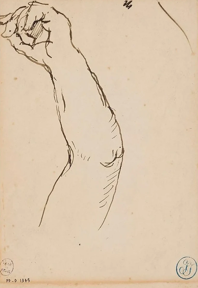 Etude de Bras