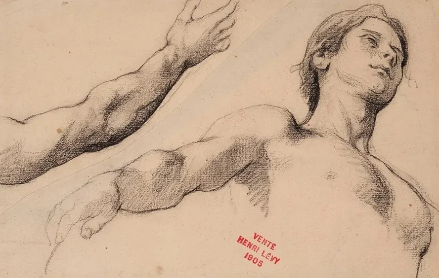 Etude de Jeune Homme En Buste et Tude D Un Bras