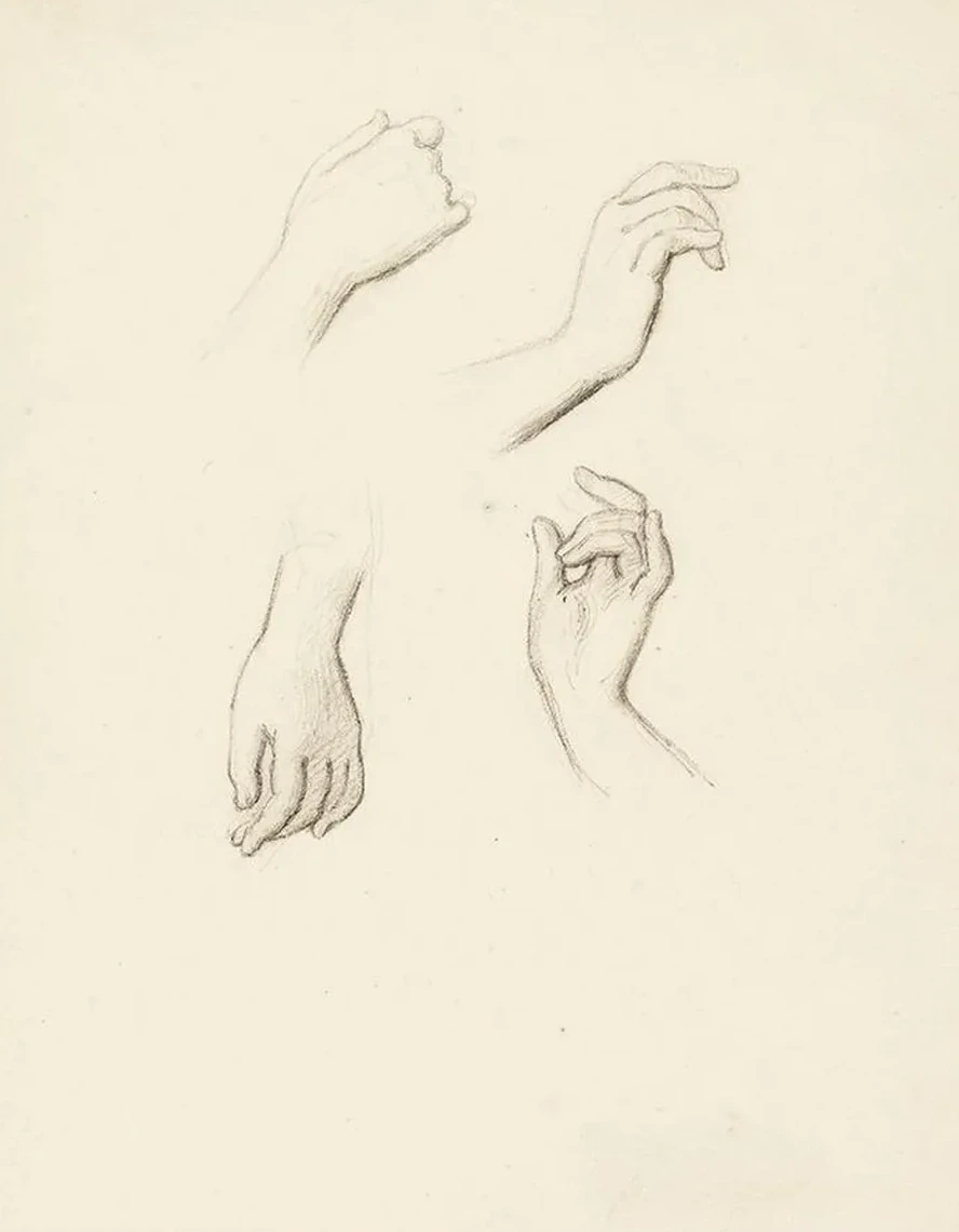 Etude de mains IV