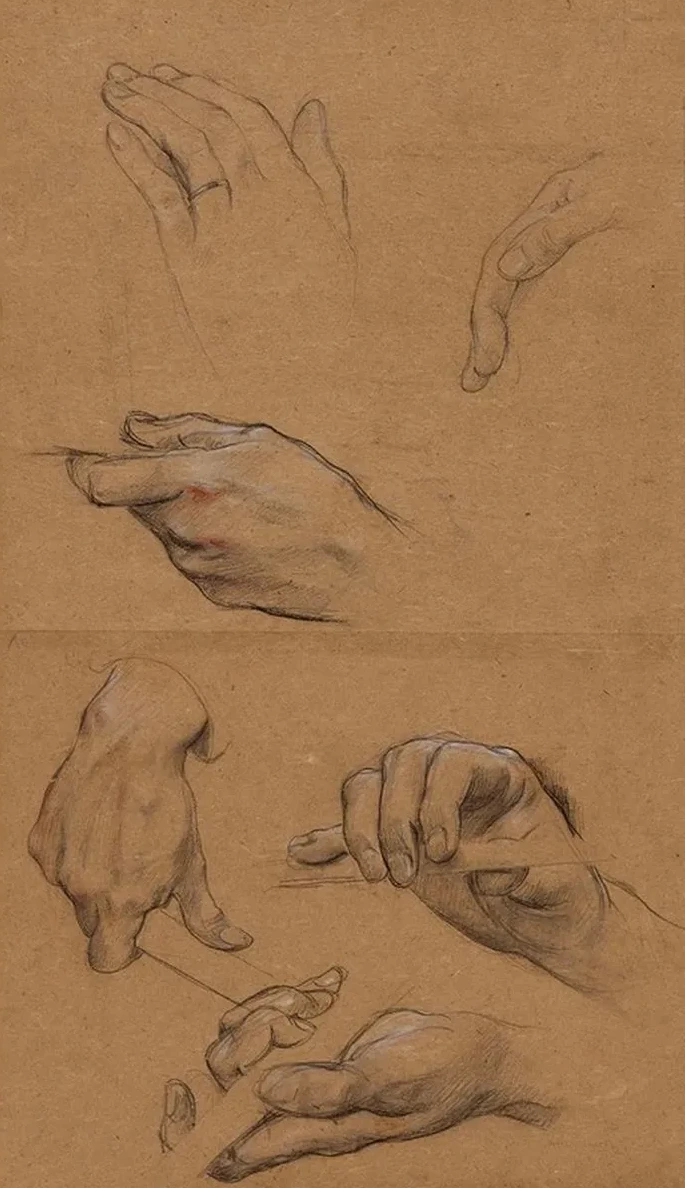 Etude de Mains