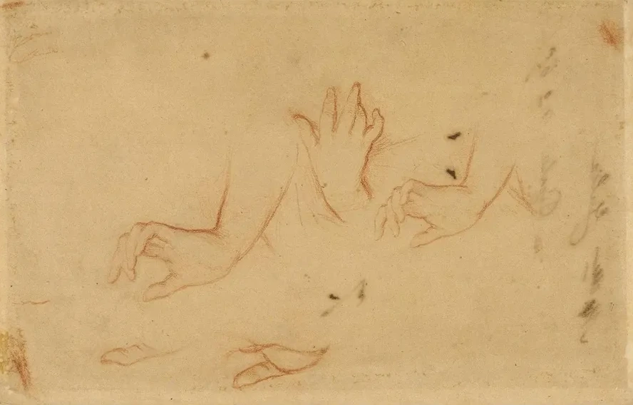 Etude de Mains