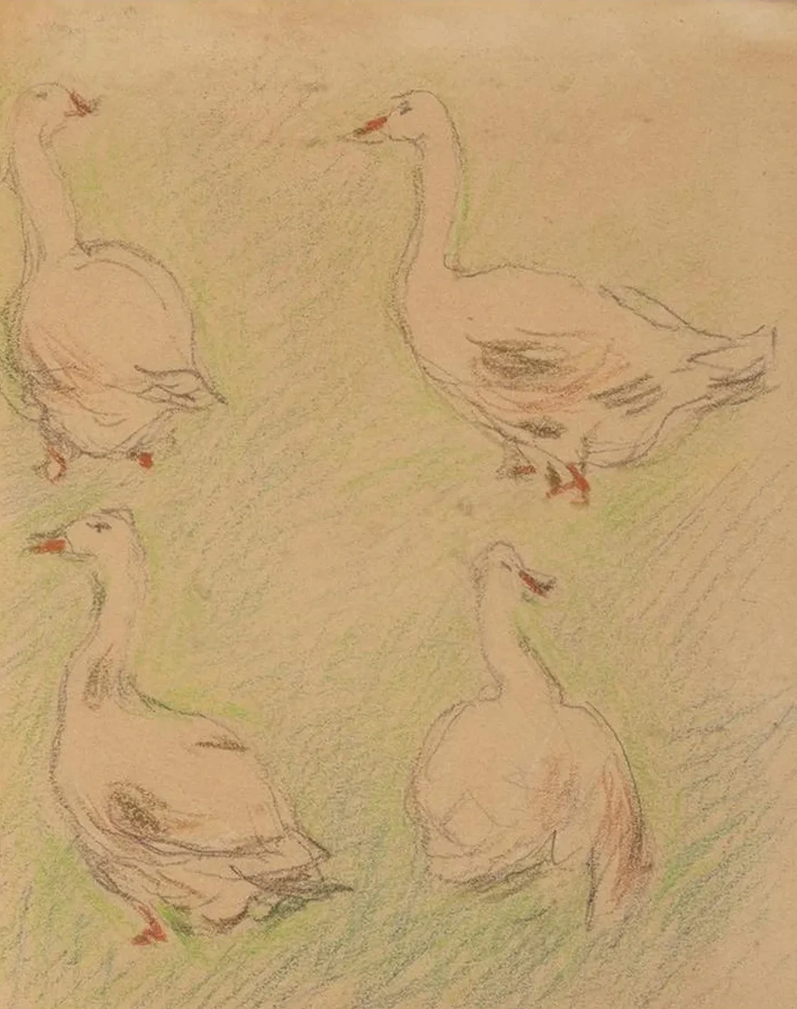 Etude de Quatre Oies