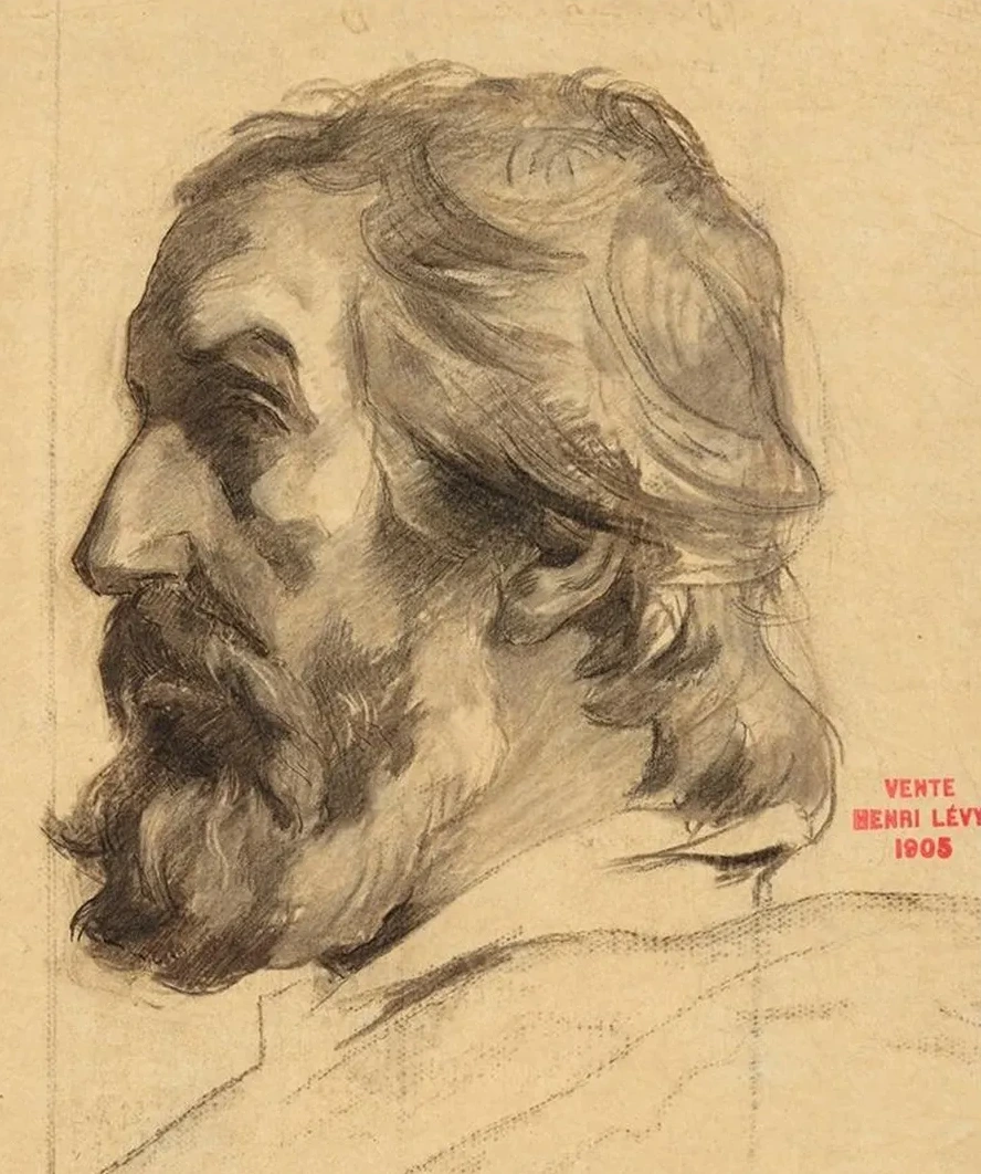 Etude de T Te D Homme de Profil