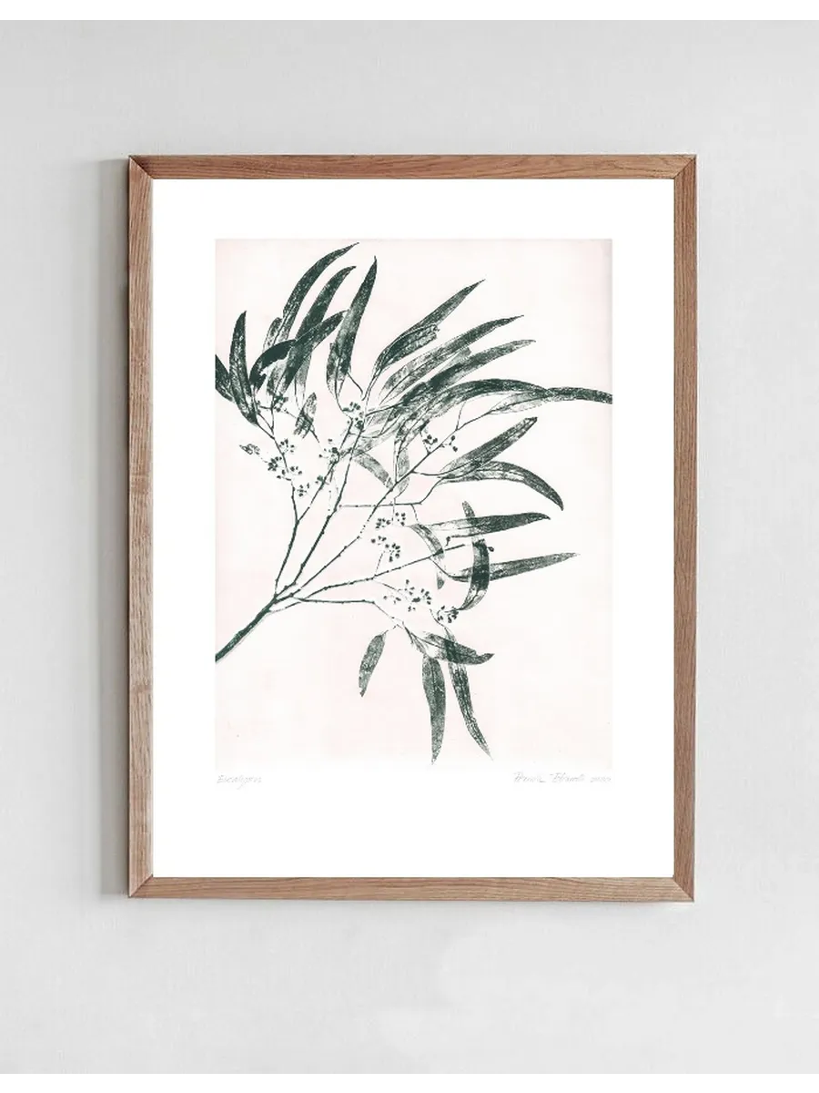 Eucalyptus 2