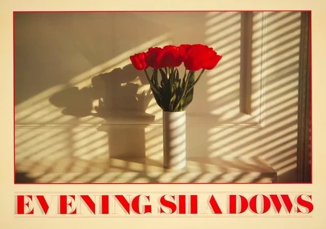 Evening Shadows