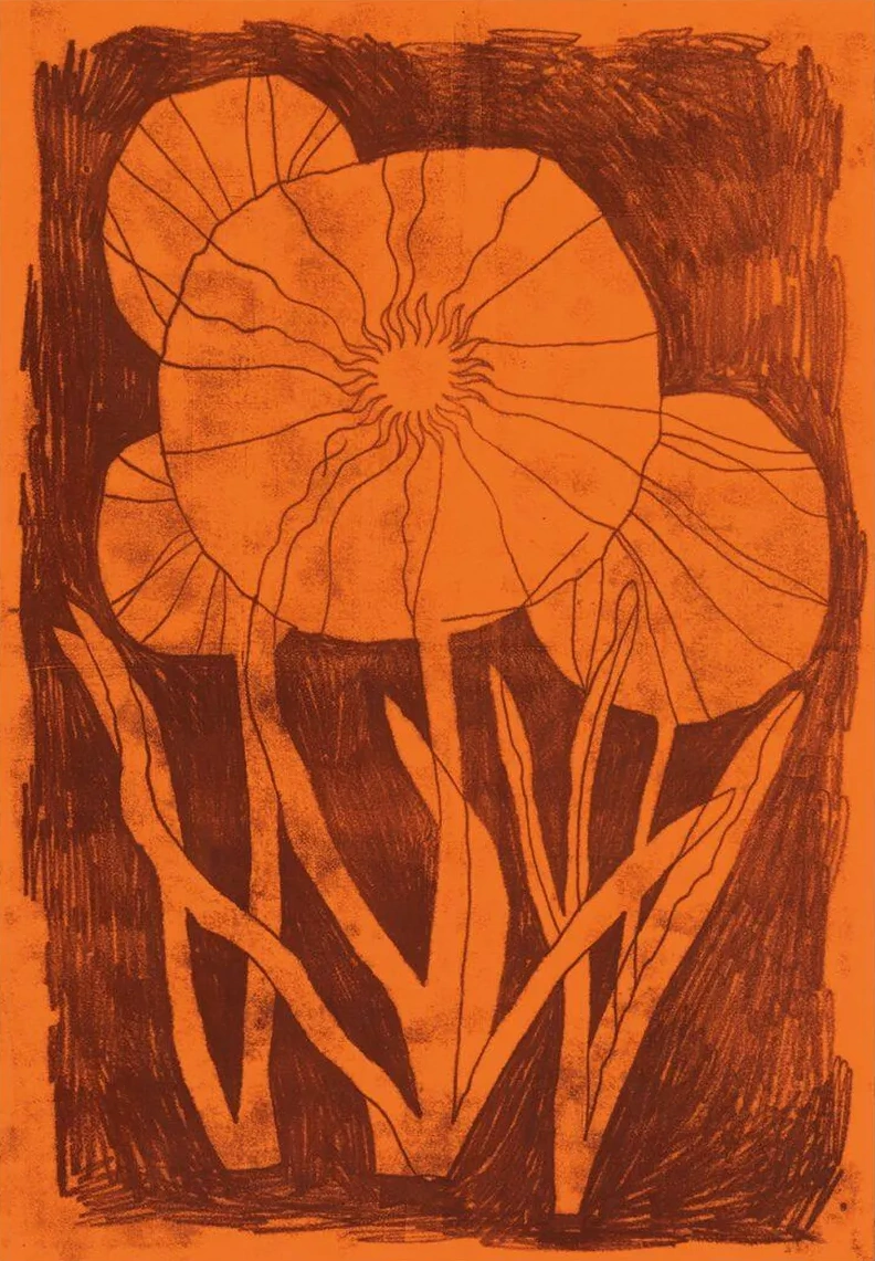 Everlasting Flower