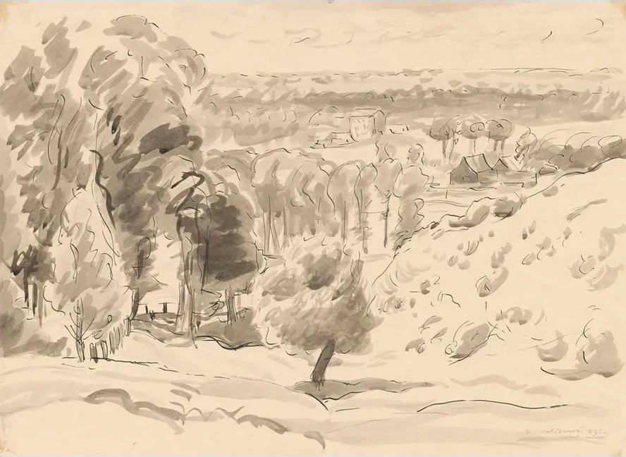 Extensive Landscape Nowe Miasto
