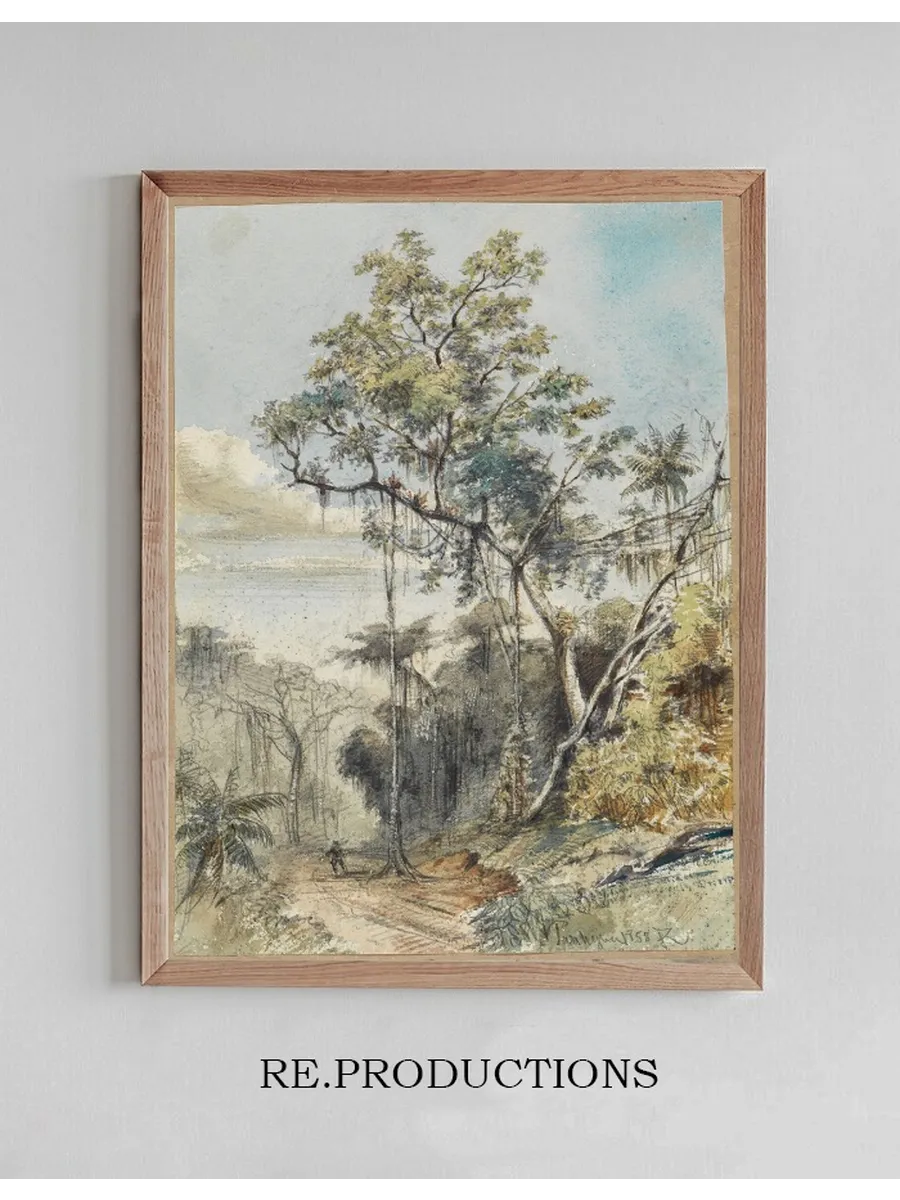 Farbige Baumstudie IM Urwald an Einem Weg