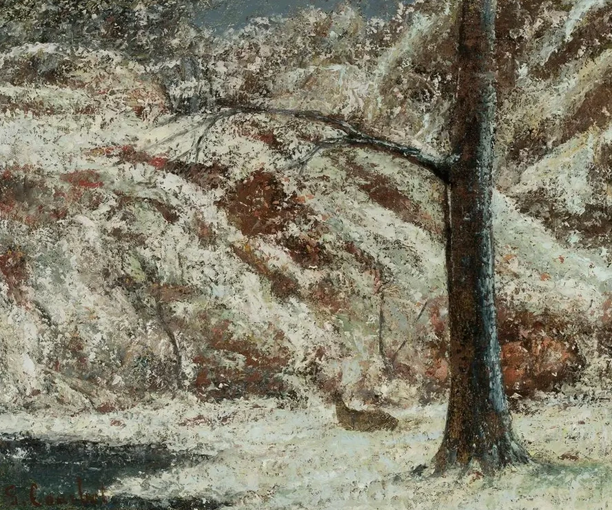 Fawn in the Snow in the Woods