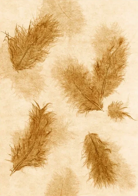 Feather Mustard
