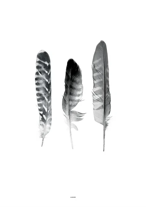 Feather
