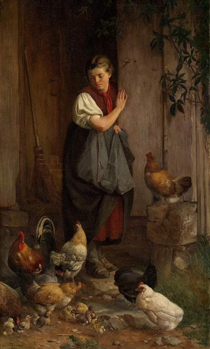 Feeding Chickens