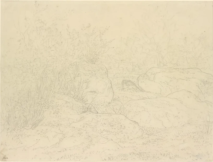 Felsen IM Wald von Fontainebleau