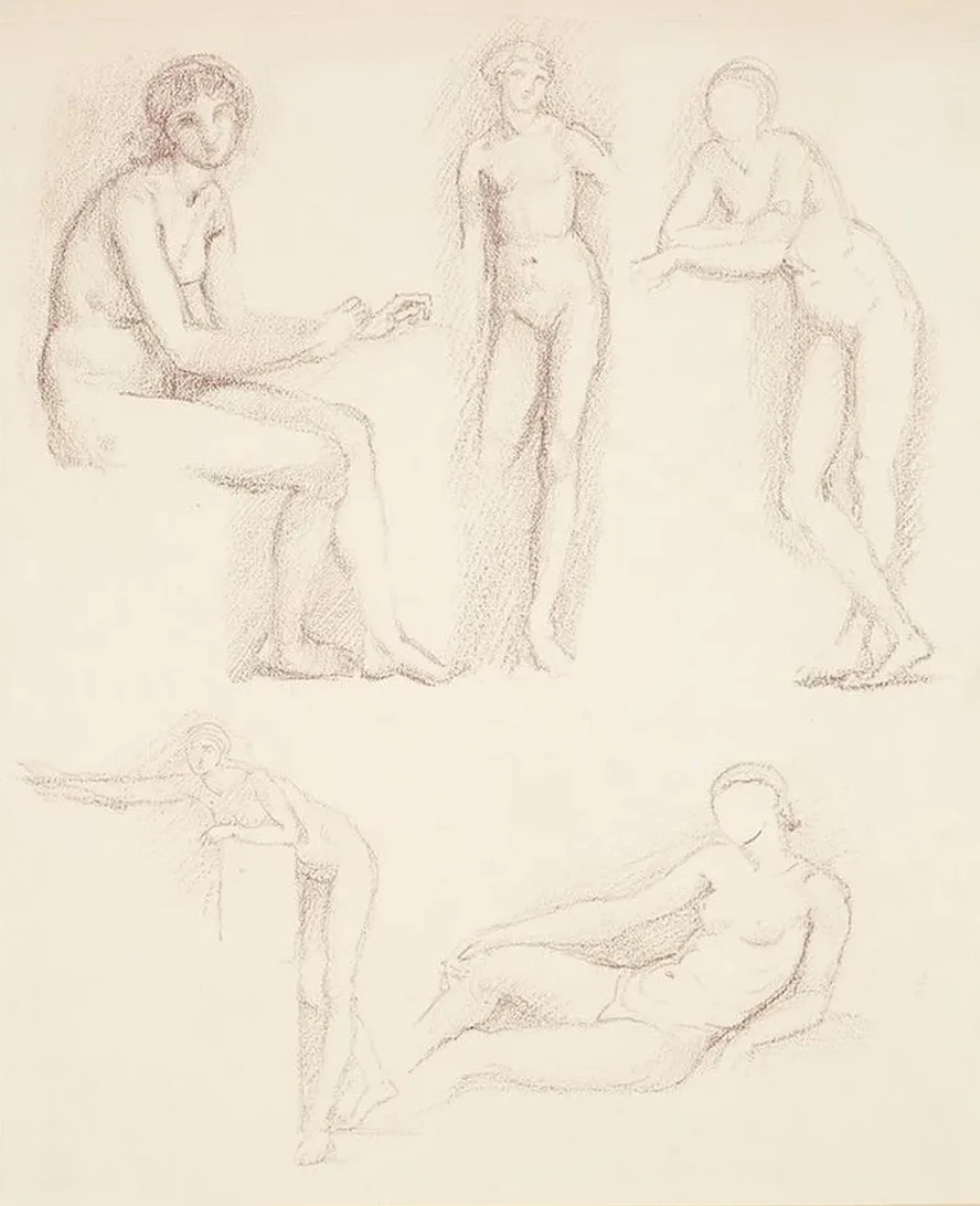 Female Nude Five Studies