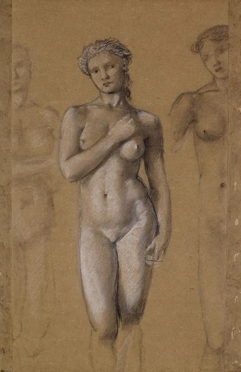 Female Nude Three Studies, possibly for Venus