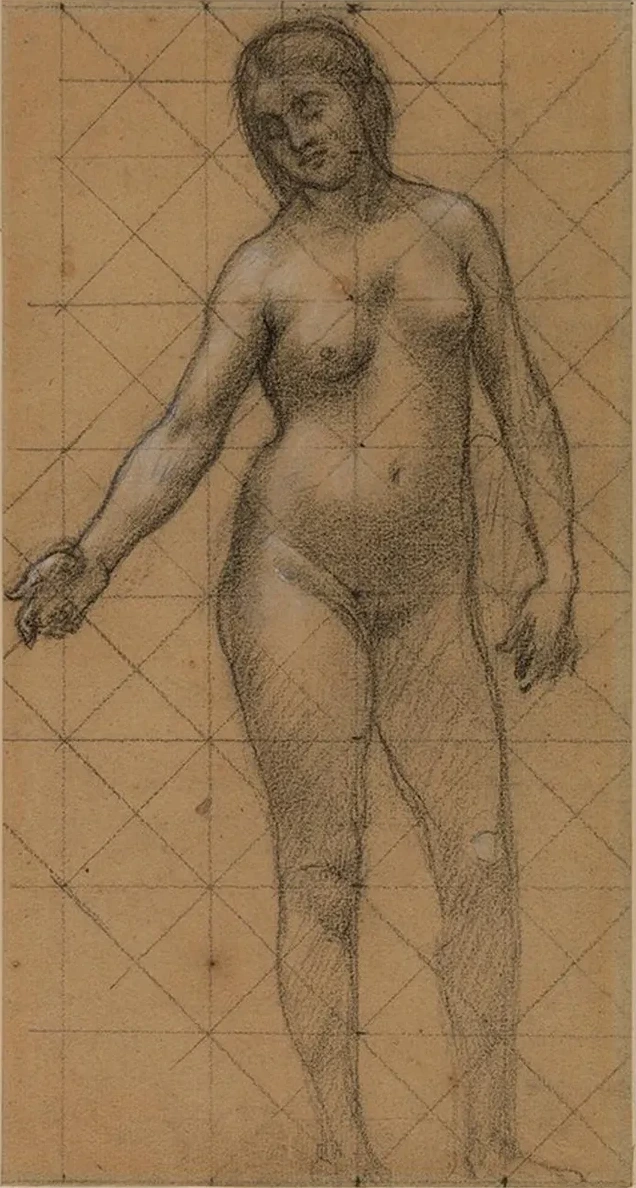 Femme Nue de Face