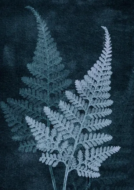 Fern Darkblue