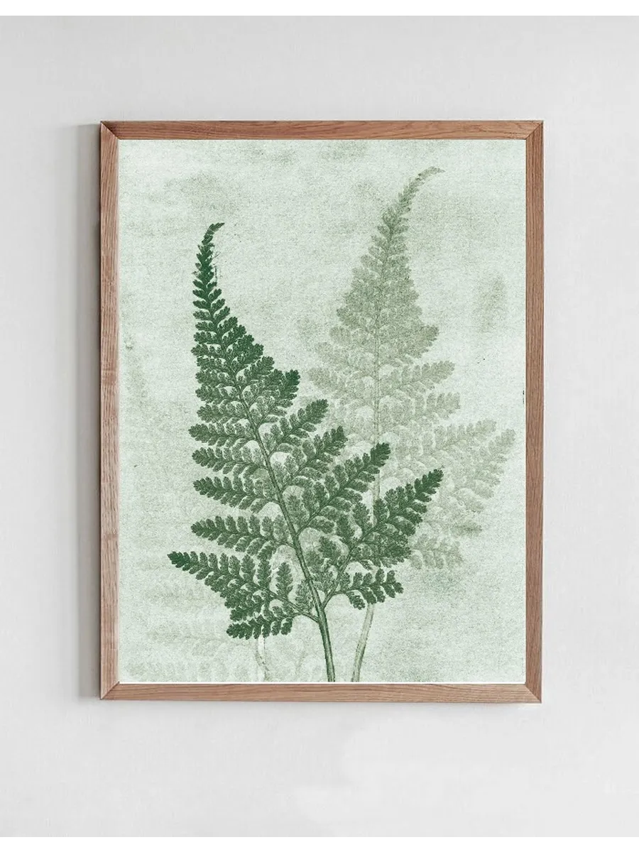 Fern Green