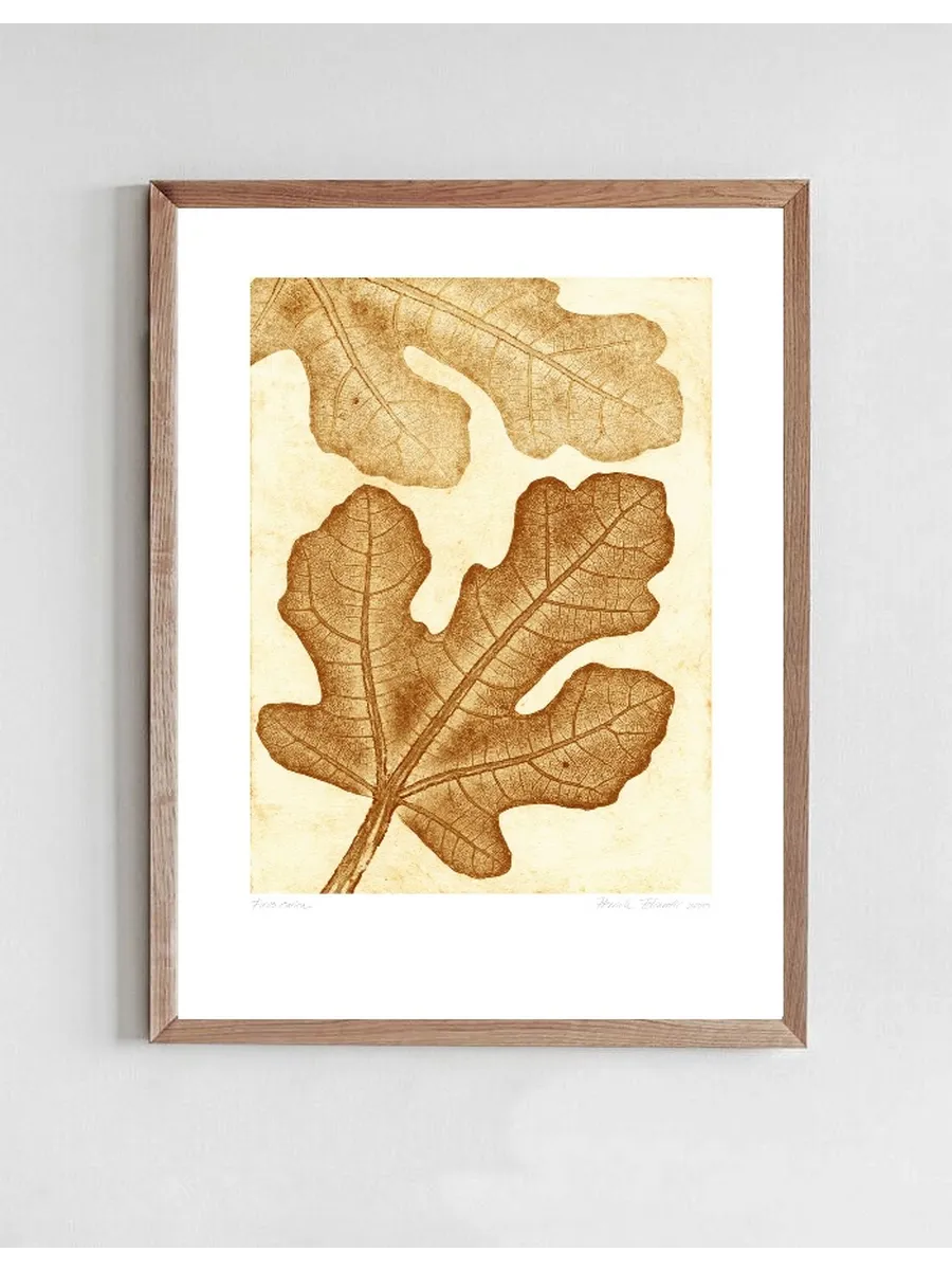 Fig 2 - Ochre
