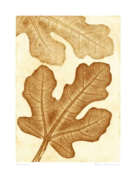 Fig 2 - Ochre