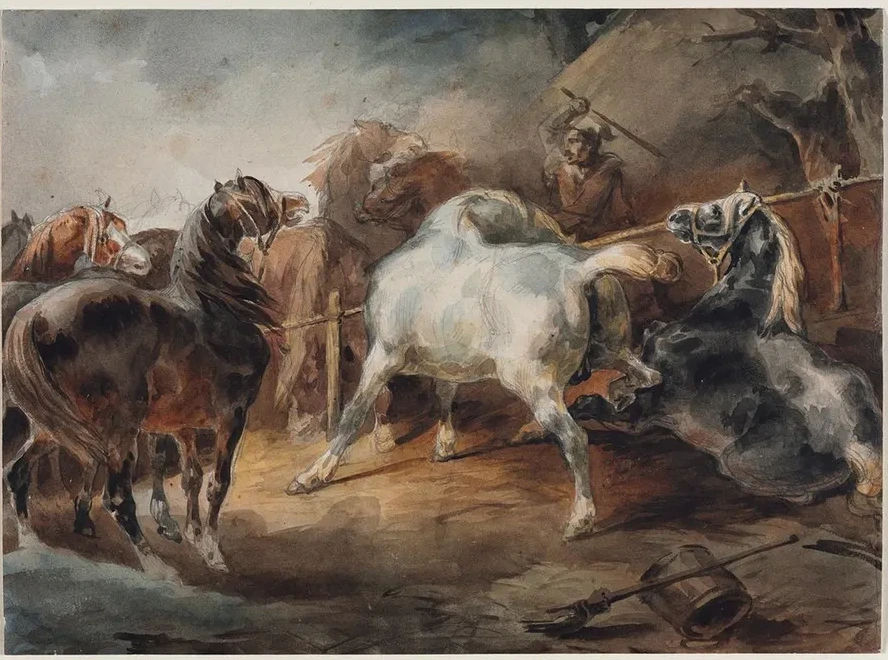 Fighting Horses
