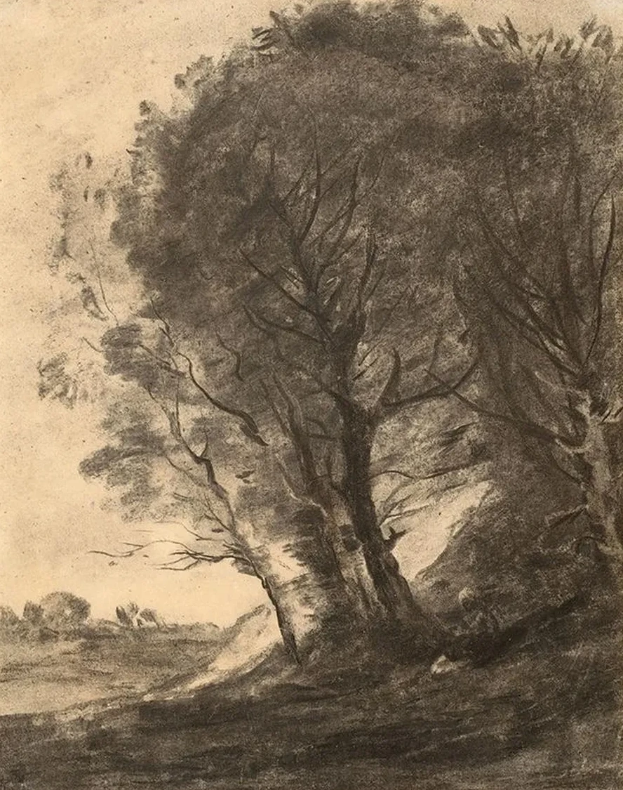 Figure Assise Dans Un Paysage Arbor