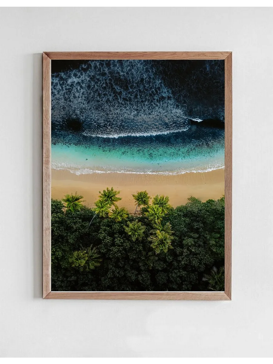 Fijian Palms