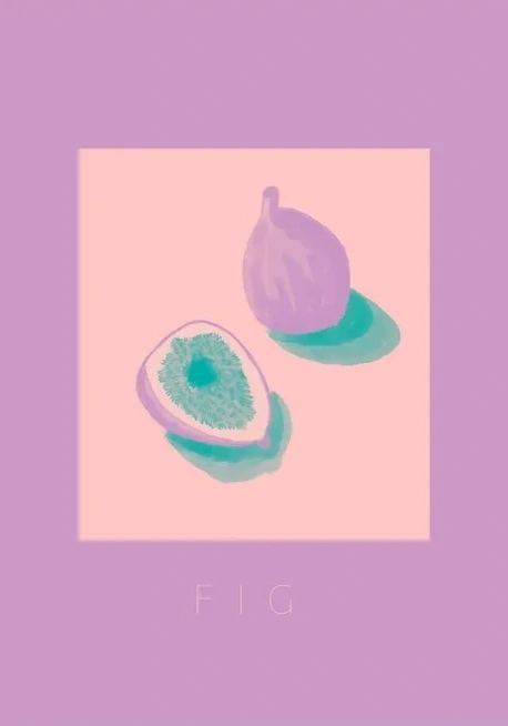 Fiken