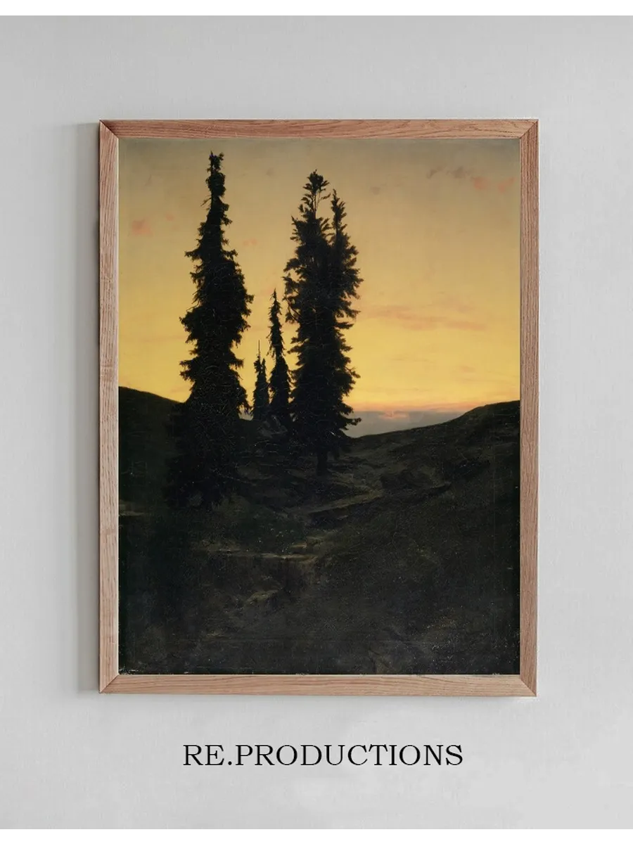 Fir Trees