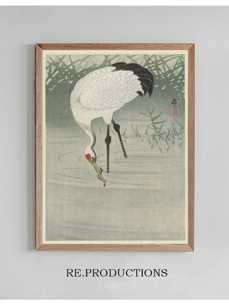 Fishing Crane in Shallow Water