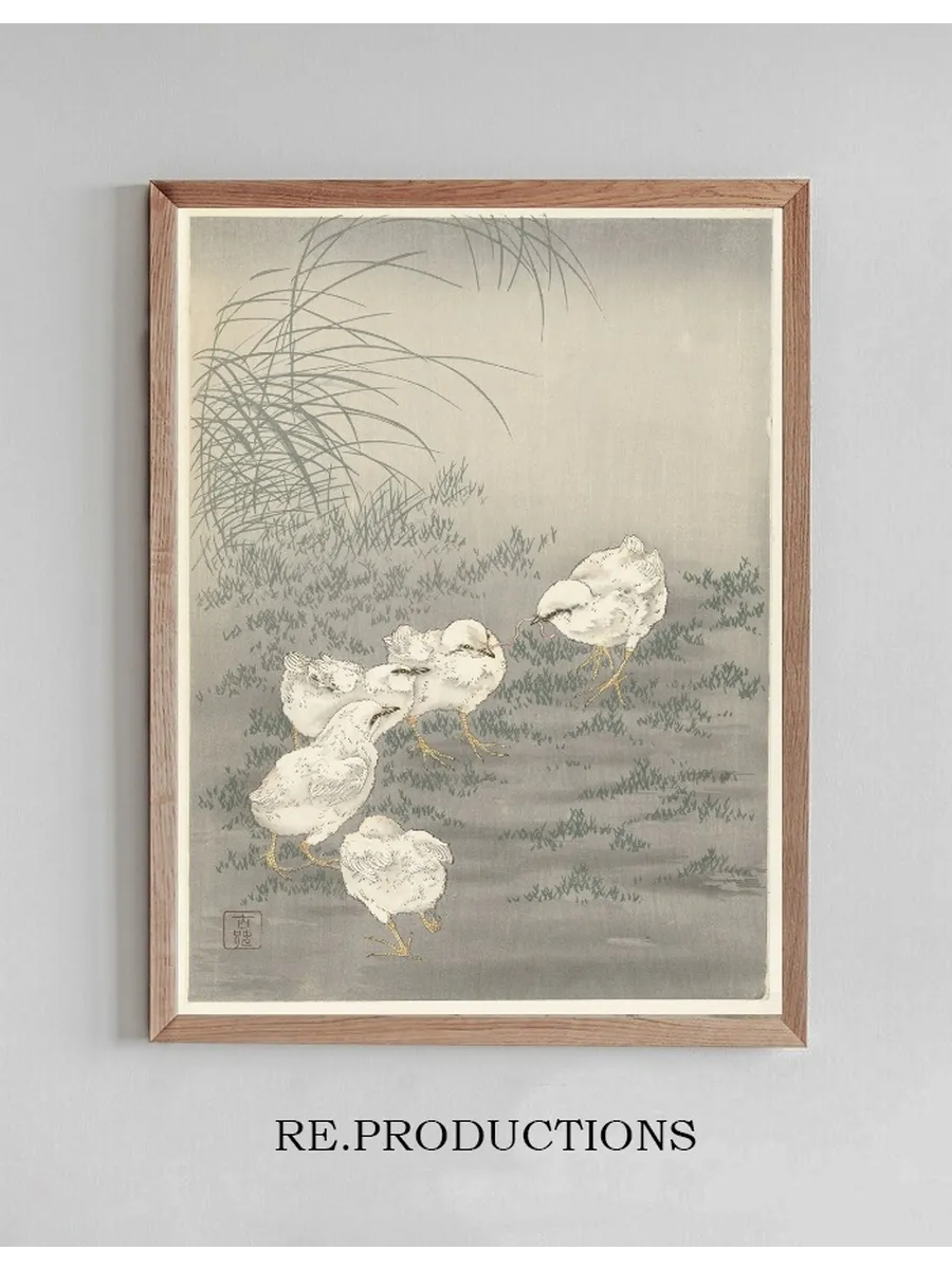 Five Chicks