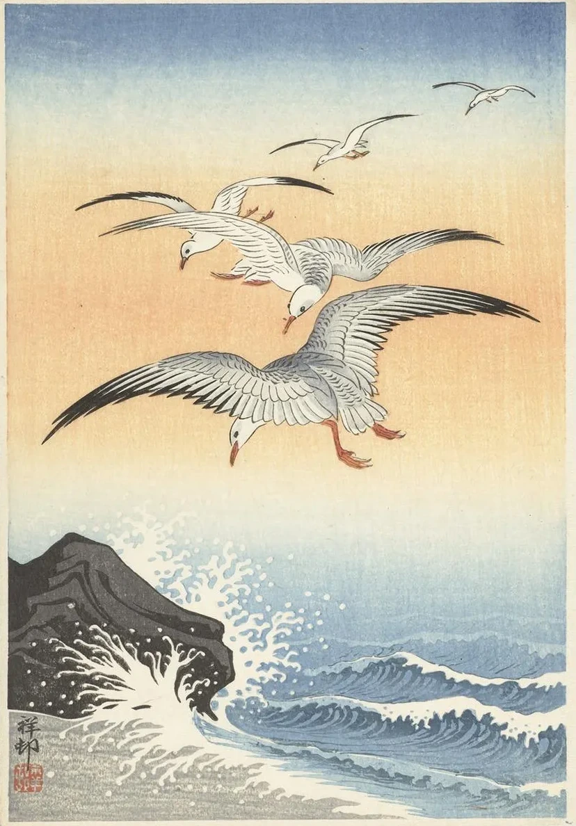 Five Seagulls Above Turbulent Sea