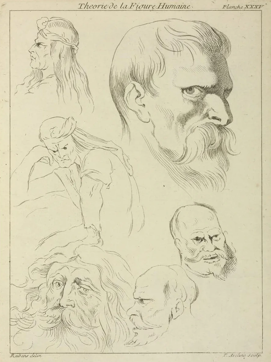 Five Studies of Men's Heads Displaying Various Hair Styles, Beards and Mustaches One Seated Figure, Half - Lengt