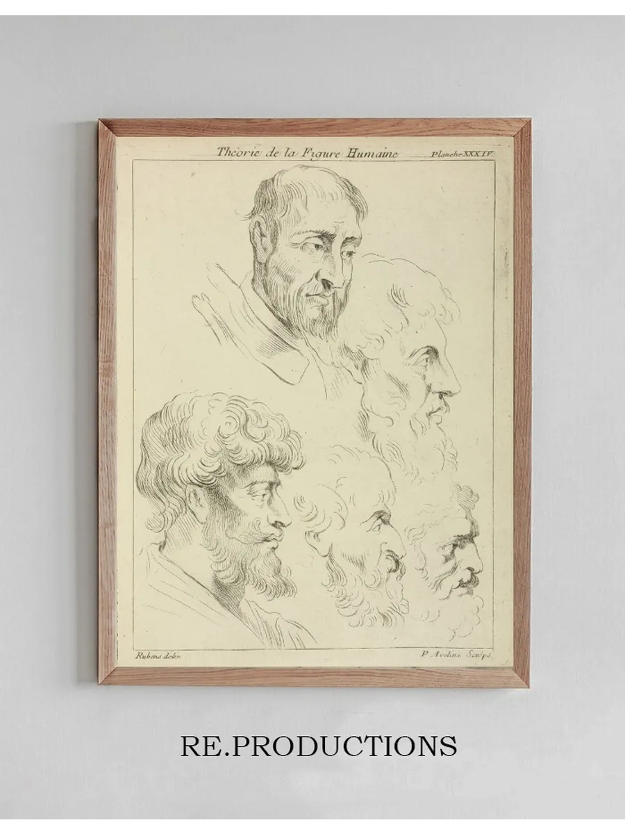 Five Studies of Men's Heads, Four in Profile