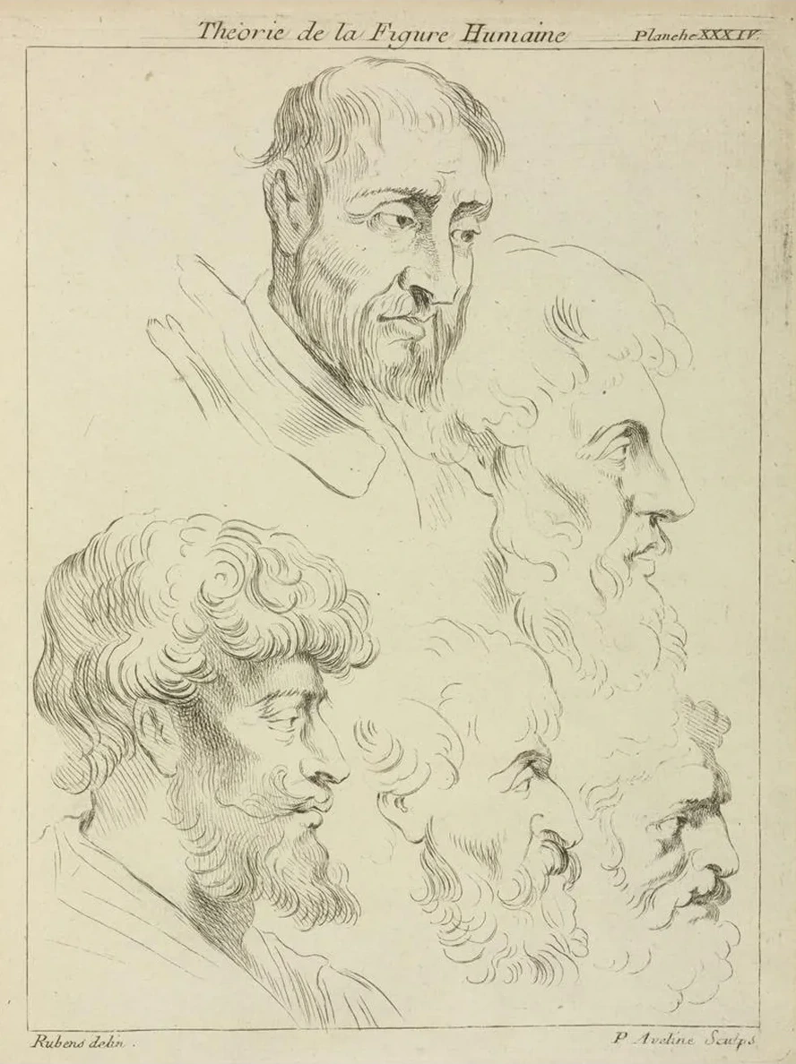 Five Studies of Men's Heads, Four in Profile