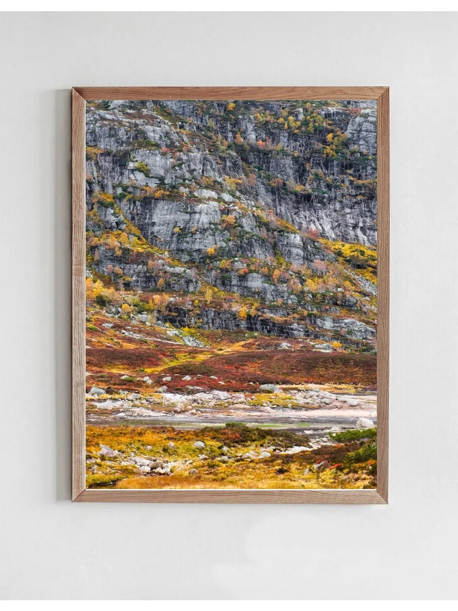 Fjellsiden