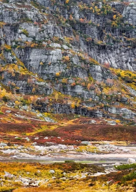 Fjellsiden