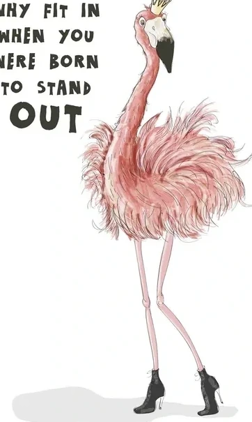 Flamingo