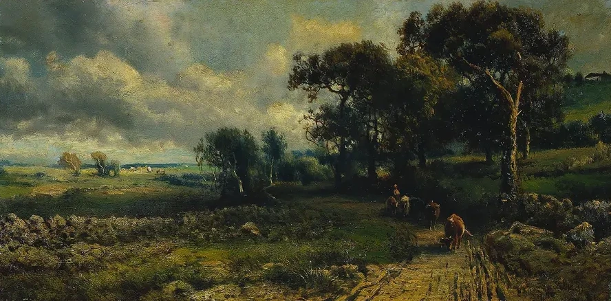 Fleecy Clouds