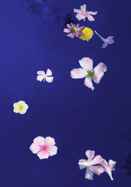 Floating 2