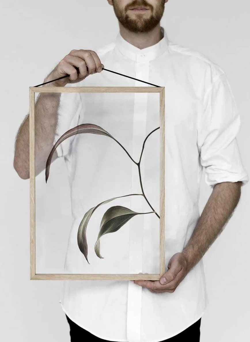 Floating Leaves